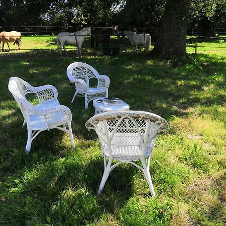 Orsennes La Marquise Penchee Bed & Breakfast エクステリア 写真